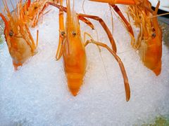 -HOMES上海本帮菜(襄阳公园店)