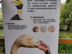 -广州长隆飞鸟乐园