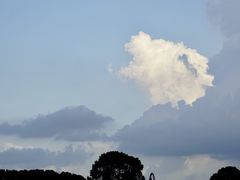 -上海月湖雕塑公园
