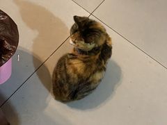 -新疆狼爷烤肉(宋庄店)