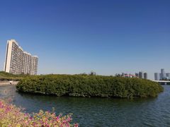 -五缘湾湿地公园