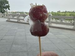 -紫光园(劲松店)