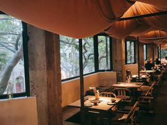 -毛辣果·酸(OHA复兴西路店)