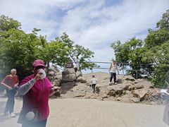 -紫金山山顶公园