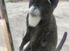 -石家庄市动物园