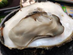 高压锅大连尚品蚝-农家霸王地锅鸡(国顺东路店)