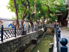 -小洲村