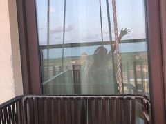 -上海崇明金茂凯悦酒店