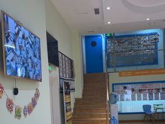 -韦伯科创·少儿编程·乐高·机器人(新光华教育中心)