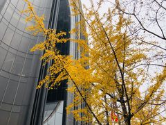 -the rug 飞毯 (朝阳公园店)