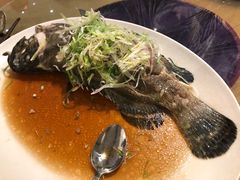 -東海薈。拉斐特(青衣城店)