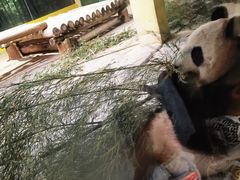 -杭州野生动物世界