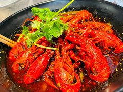 十八香小龙虾-红辣椒·川菜·火锅(朝外店)