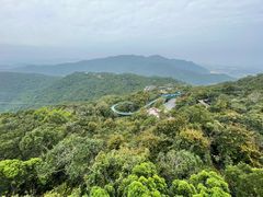 -亚龙湾热带天堂森林公园