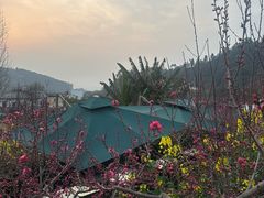 -桃源山庄·水蜜桃采摘·柴火鸡·烧烤团建(龙泉山店)