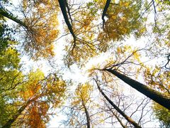 -西湖风景区-江洋畈生态公园