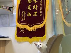 -全心全意连锁动物医院·特色中医诊疗(会城门分院)