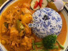 马来咖喱鸡饭-马来MO简餐.南洋风味料理(美食街店)