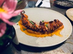 香烤八爪鱼腿-Apollo·西班牙小酒馆(安福路店)