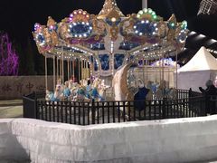 -沈阳奥体冰雪嘉年华