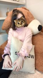 -WD专业烫染设计