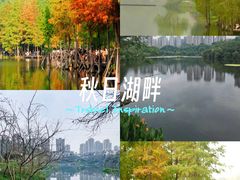 -重庆彩云湖湿地公园