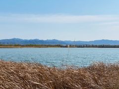 -野鸭湖国家湿地公园