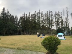 -前小桔亲子创意农场·草莓采摘·露营烧烤