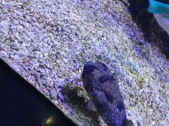 -郑州海洋馆