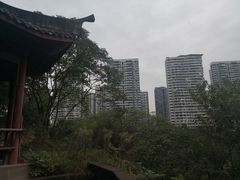 -重庆彩云湖湿地公园