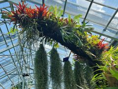 -国家植物园南园