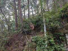 -中山大学附属第三医院(天河院区)