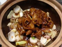 -望乡楼上海菜(日月光店)