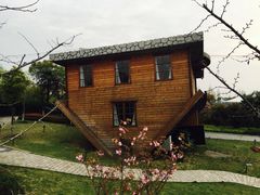 -金山农民画村-枫泾波兰倒置屋