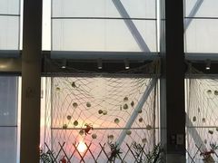 -南昌绿地华邑酒店·鲜艳全日餐厅