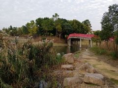 -美兰湖景区
