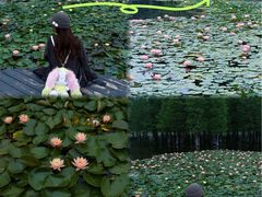 -白鹭湾湿地公园