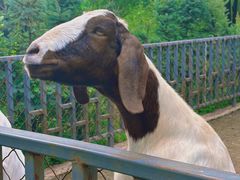 -沈阳森林动物园