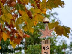 -福州大学(旗山校区)