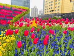 -巴黎贝甜(五月花广场店)