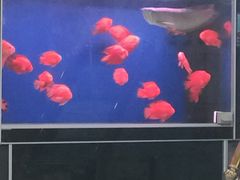 -绿岛汤泉韩式休闲会所