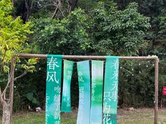 -云栖山谷露营地·团建年会·生日派对