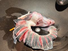 -鲜潭蒸汽石锅鱼(五道口购物中心店)