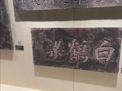 -白鹤梁水下博物馆