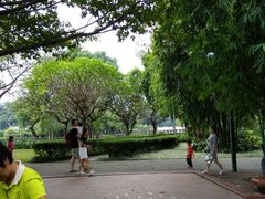 -晓港公园