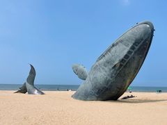 -烟台金沙滩海滨公园