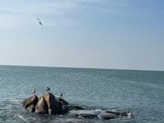 -那香海钻石沙滩浴场
