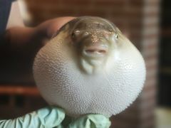 -永安鱼庄·镇江菜(东吴路店)