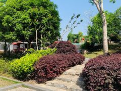 -枫香湖儿童公园