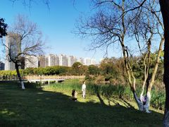 -艾溪湖湿地公园